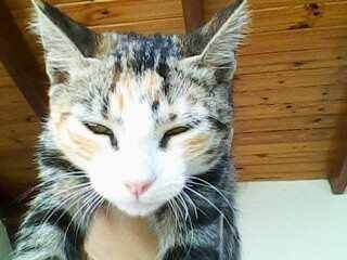 Micaela - (6 mois)