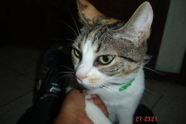 Linda - (3 ans)