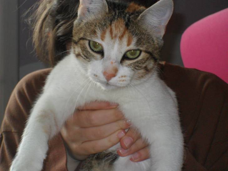 Clochette - (2 ans)