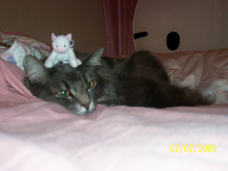 Jasmine - (8 ans)