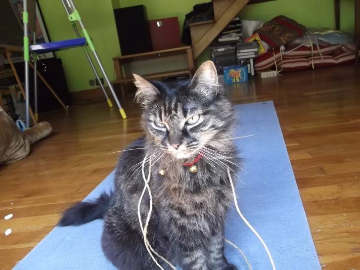 Cassis - (3 ans)