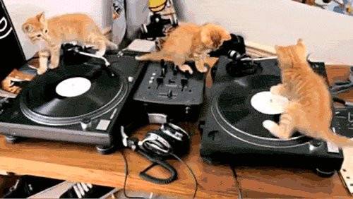 TURN UP THE MUSIC! - Mâle (10 mois)
