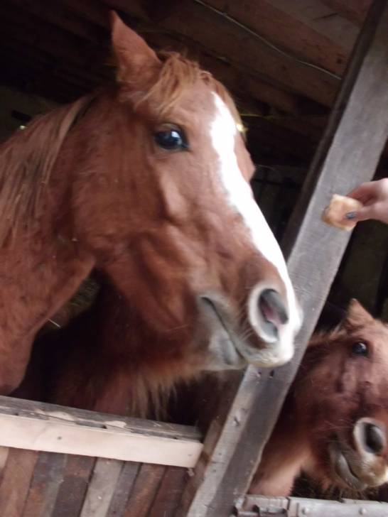Uranis - (4 ans)