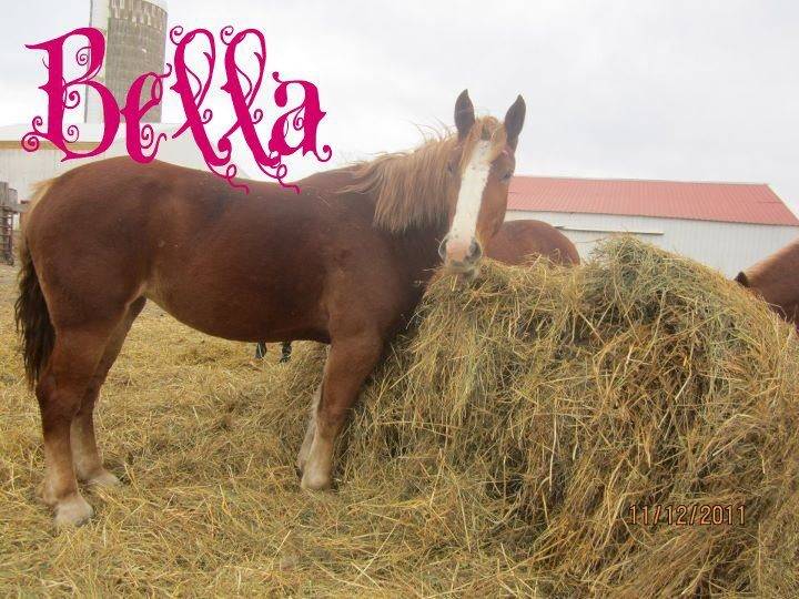 Bella - (5 ans)