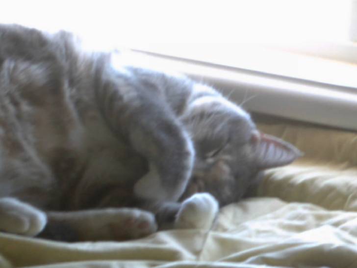 Rosie - (10 ans)