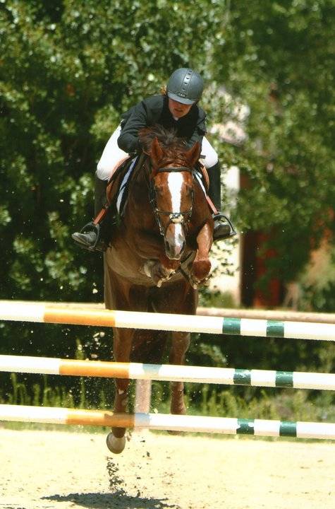 Rhapsodie - (7 ans)