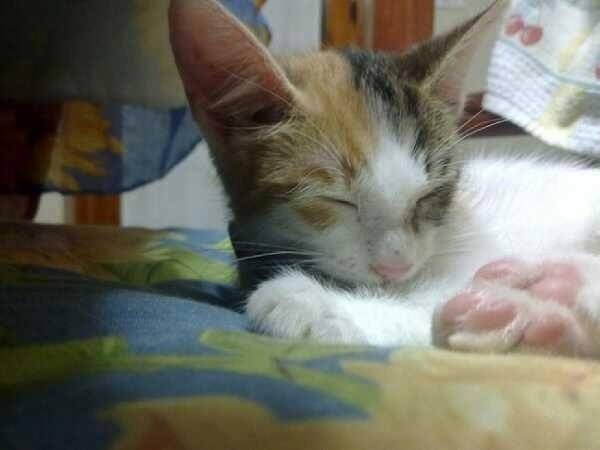 Michelle - (4 mois)