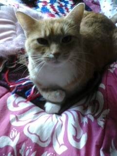 Zoe - (12 ans)