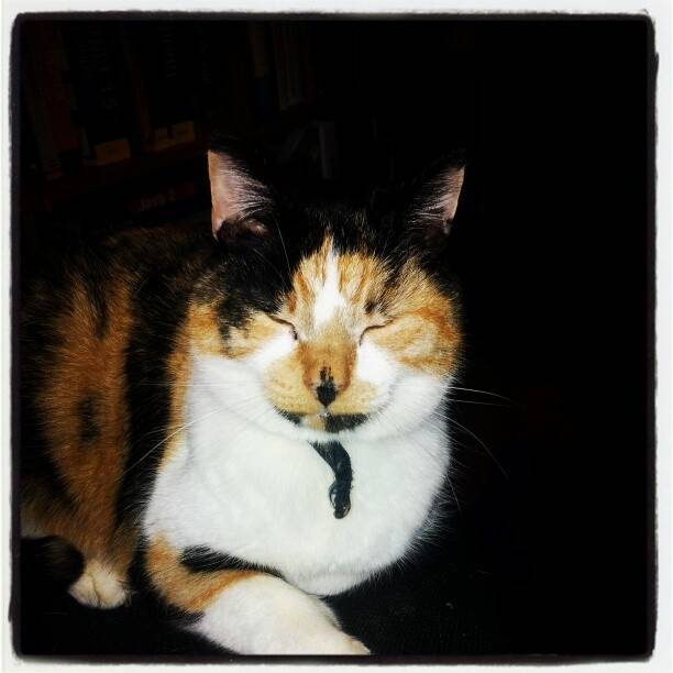 Bubbles - (13 ans)