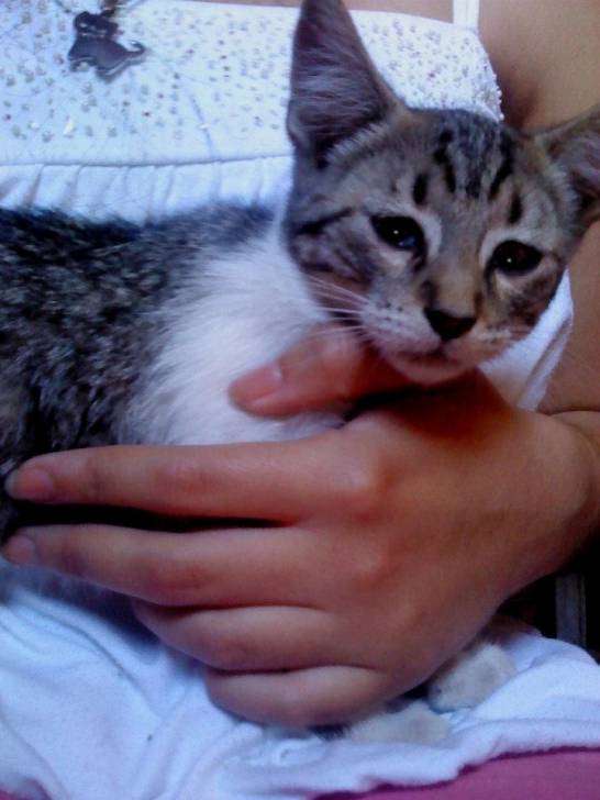 sol - (2 ans)