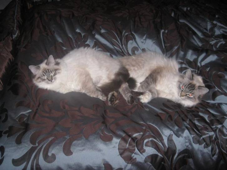 baxtor and kacey - (1 an)