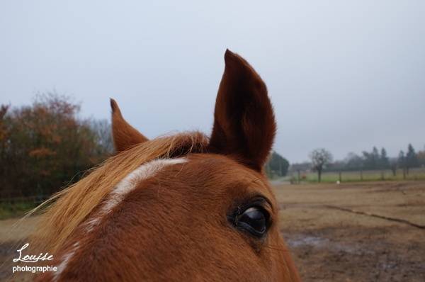 Morgane - (7 ans)