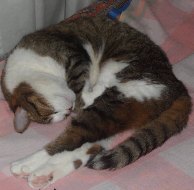 Mimy - (16 ans)