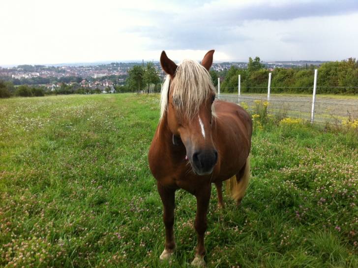 Ivenbine - (22 ans)