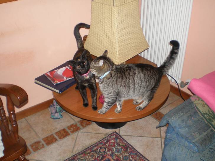 Regina e Leo -