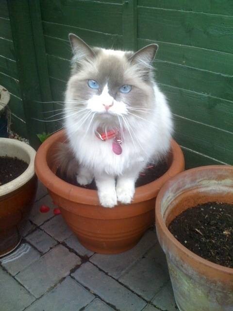 Lily - (2 ans)