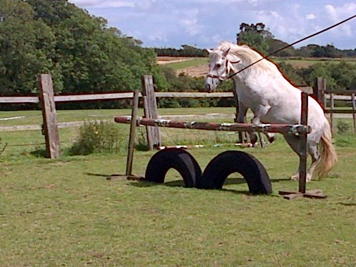 Twiggy - (3 ans)