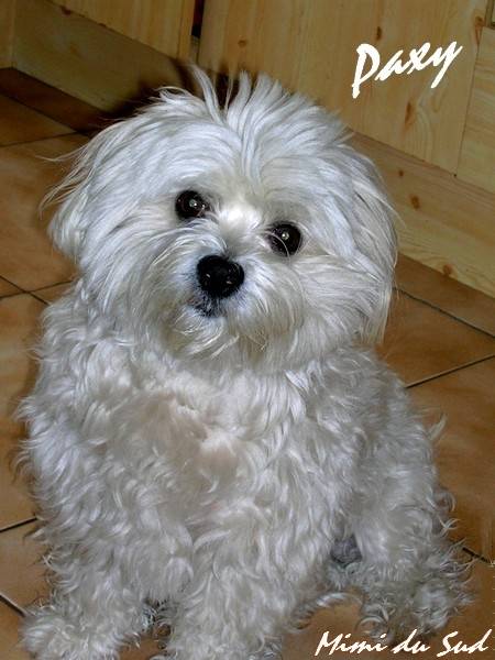 bouclette - (4 mois)