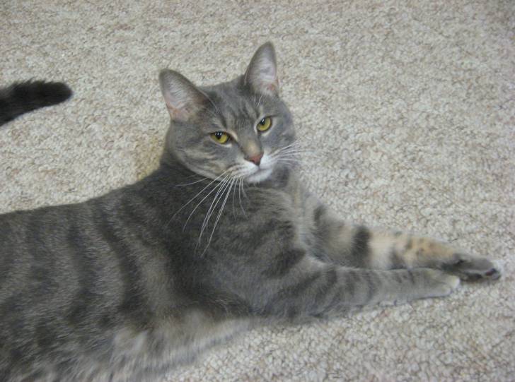 Sookie - (3 ans)