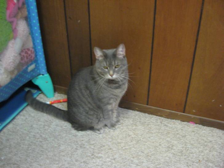 Sookie - (3 ans)