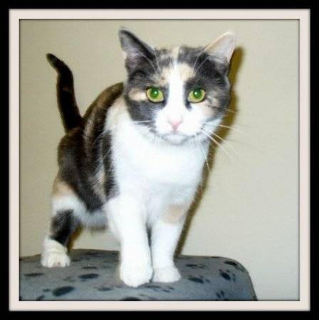 marjorie - (2 mois)