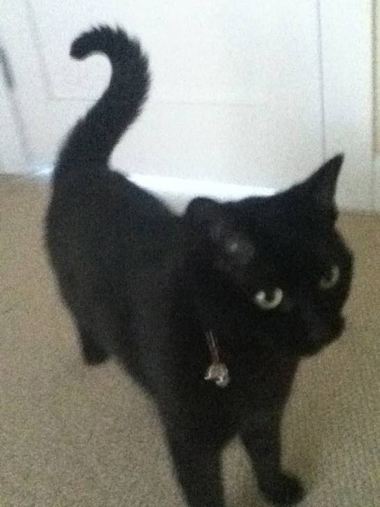 Midnight - (3 ans)