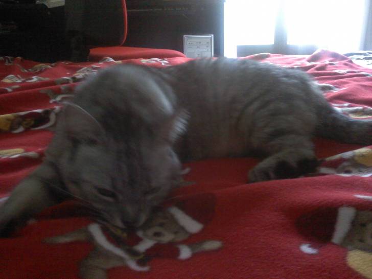 Sissi - (9 ans)