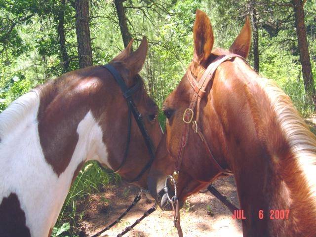 Roco and Odet -