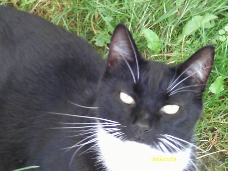 max - Mâle (5 ans)