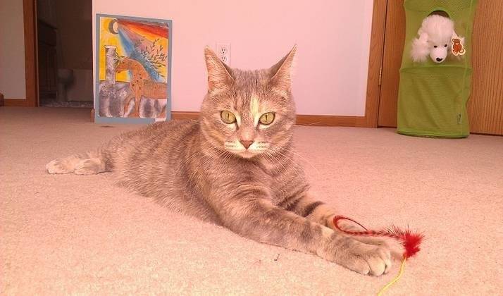 Rosie - (5 ans)