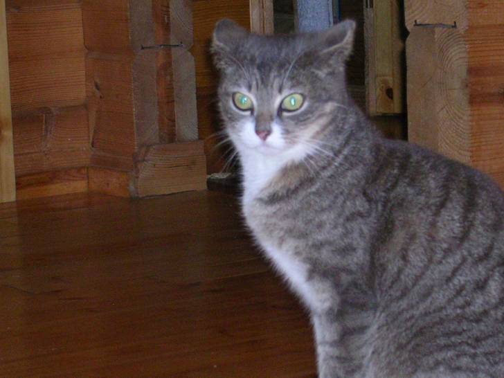 cracotte - (5 ans)