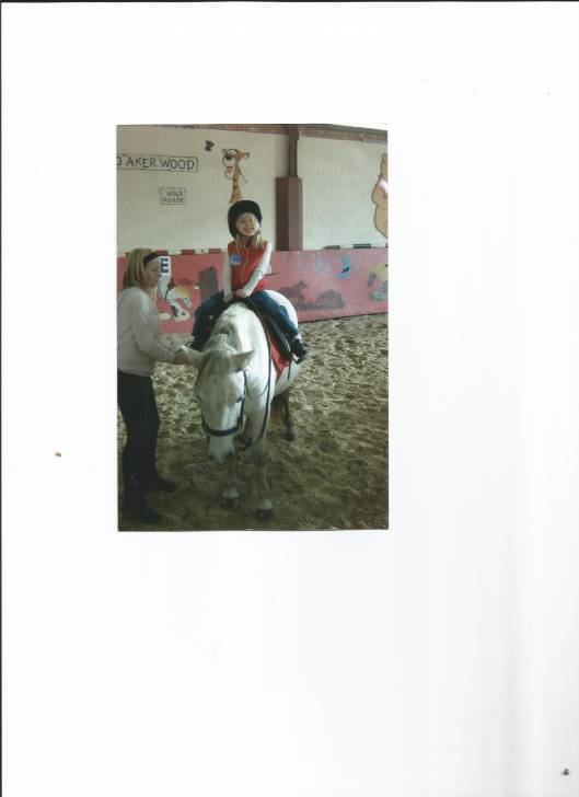 Ollie - Mâle