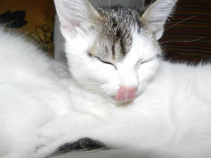 Lilith - (3 mois)