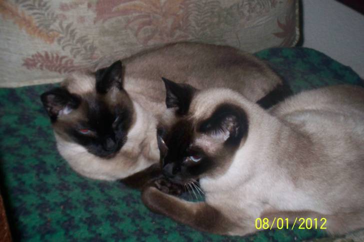 Lola y Mina - (14 ans)