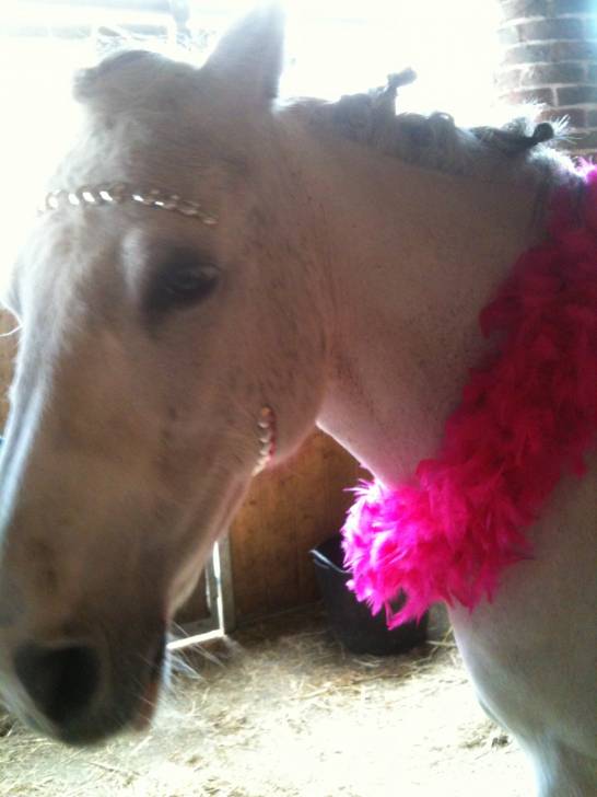 holly - (16 ans)