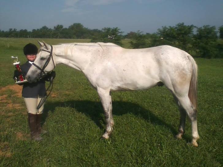 stormy - Mâle (7 ans)