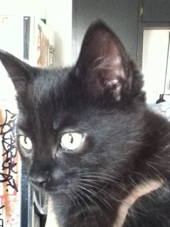 Roxanna - (3 mois)
