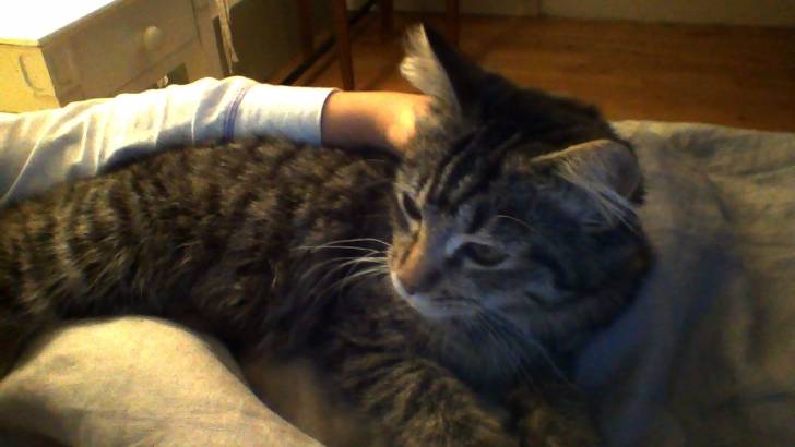Perle - (5 mois)