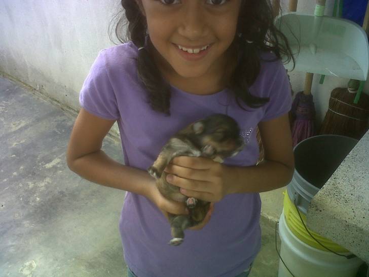 lili - (4 mois)