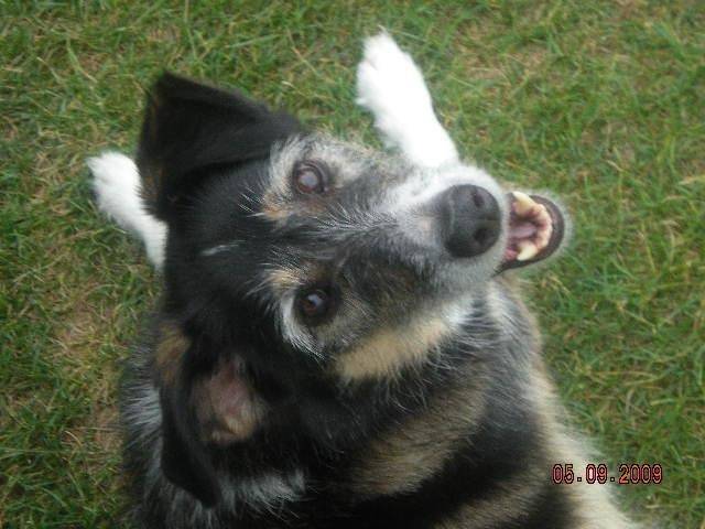 Lucy - (5 ans)
