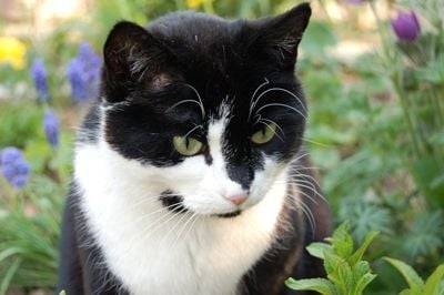 Mia - (2 ans)