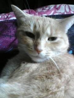 Zoe - (12 ans)
