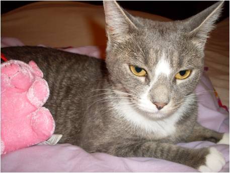 Molly - (2 ans)