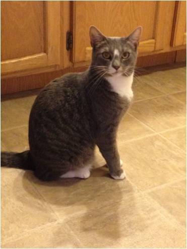 Molly - (2 ans)