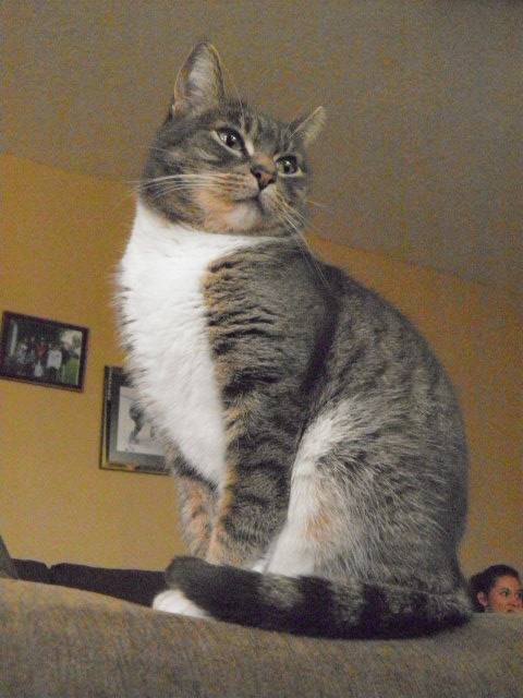 Cindy - (4 ans)