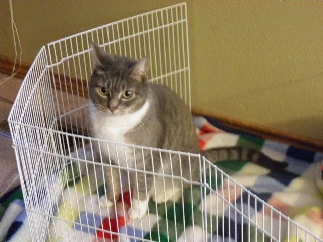 Cindy! - (4 ans)