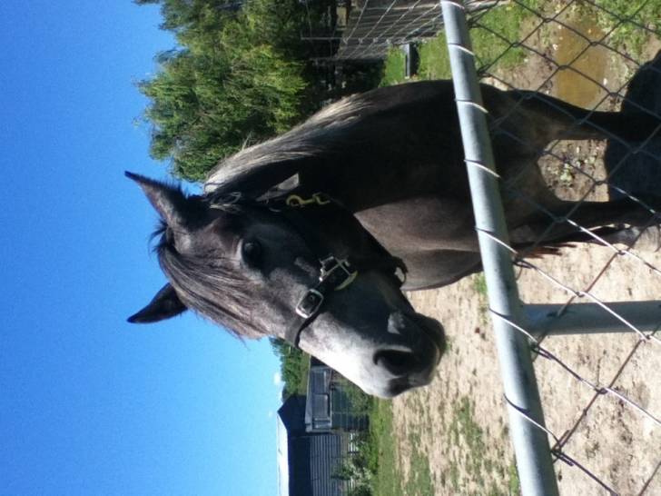 I dont hve a name yet - (4 ans)