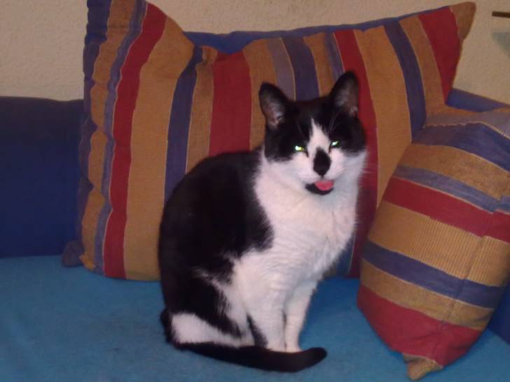 Maüschen - (10 ans)