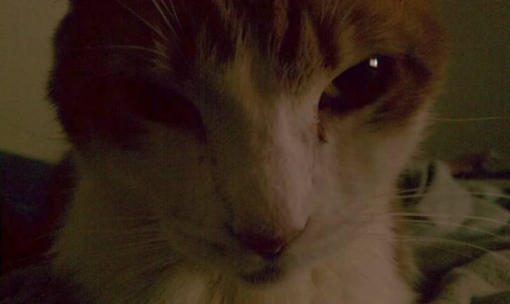 Ourkitty - (8 ans)