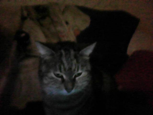 Mimine - (6 ans)